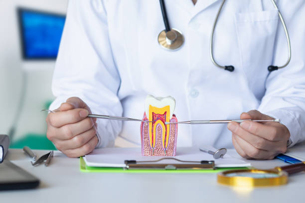 Best Emergency Dental Care for Abscessed Tooth in Caruthersville, MO